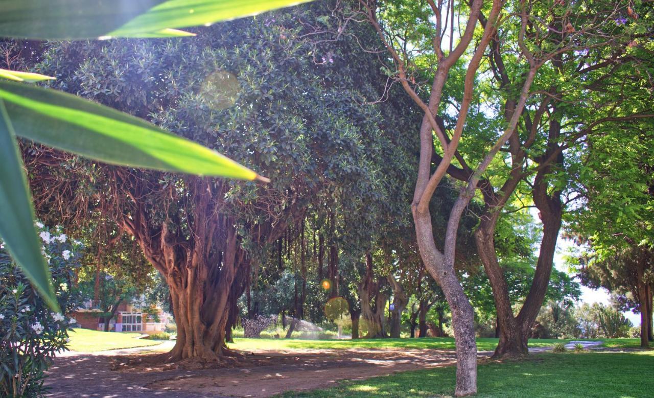 Parque De La Paloma Area - Benalmadena Costaアパートメント エクステリア 写真
